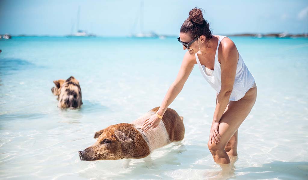 Mujer acariciando un cerdo en la playa Pig Beach México