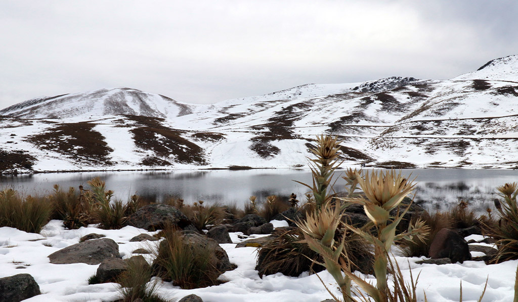 Paisaje de una montaña del norte de México