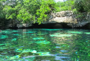 Cenote Azul, Playa del Carmen.