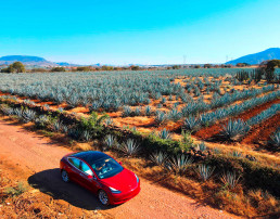 Plano abierto de auto Tesla rojo en un camino de terracería a lado de un campo de agave en Tequila Jalisco México