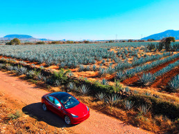 Plano abierto de auto Tesla rojo en un camino de terracería a lado de un campo de agave en Tequila Jalisco México