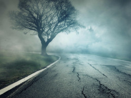 Calle siniestra miedo bosque carretera