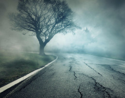 Calle siniestra miedo bosque carretera