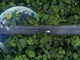 Camino ecológico con el planeta como tendencias de 2023