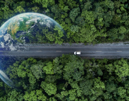 Camino ecológico con el planeta como tendencias de 2023