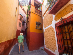 Avis Guanajuato