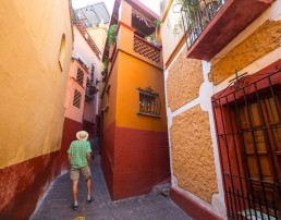 Avis Guanajuato